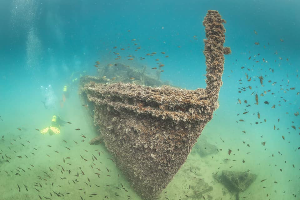 Encrusted anchor rising from the seabed